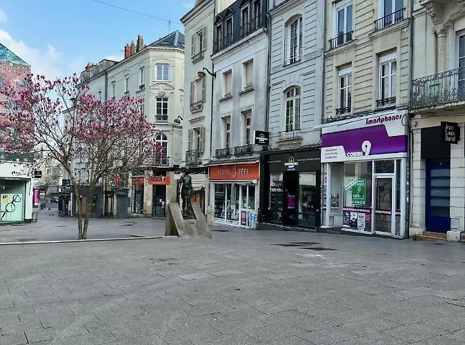 Lysbed - Le Pilori Angers